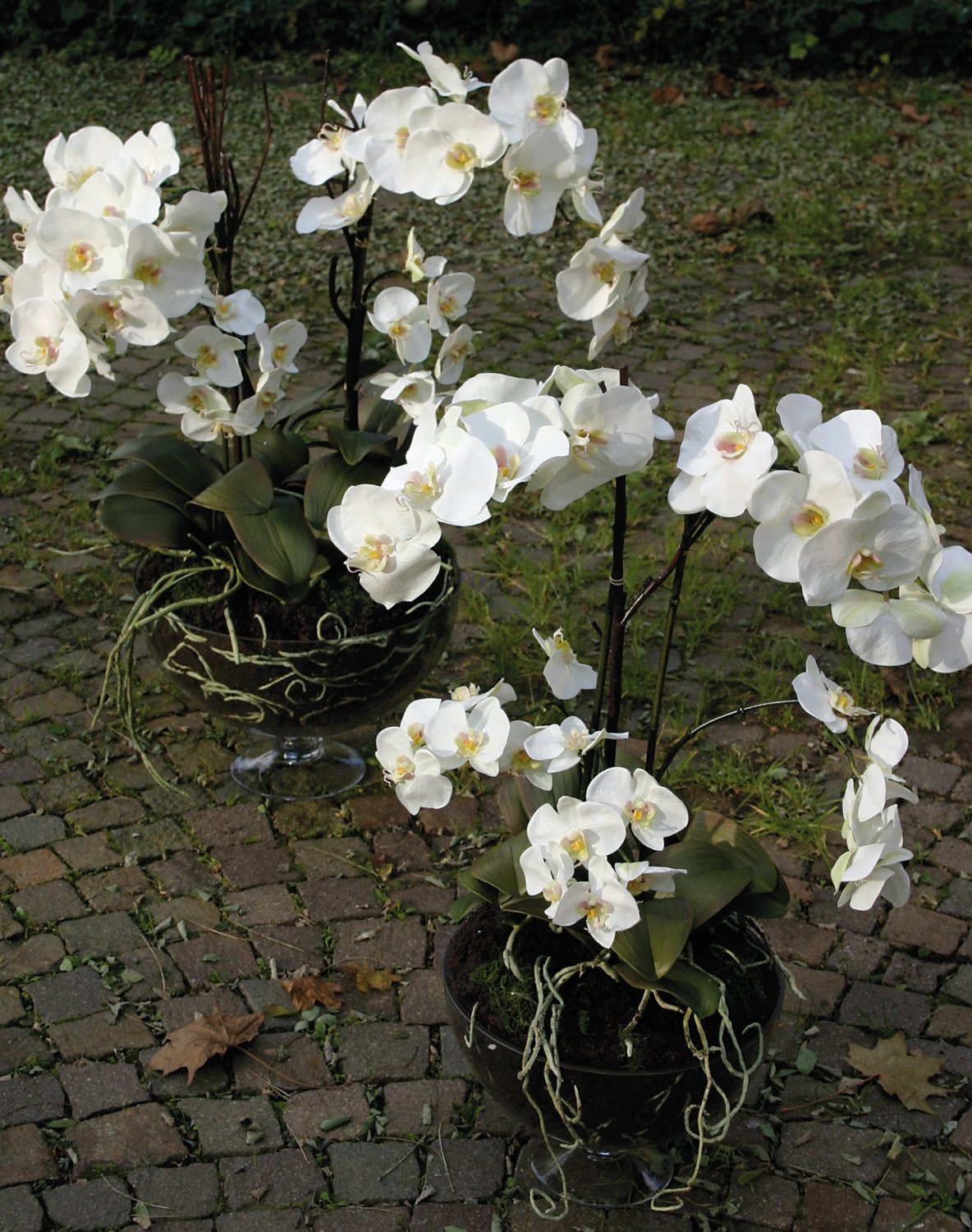 Orchidea Phalaenopsis artificiale in ciotola di vetro, 8 rami, 81 cm, bianco