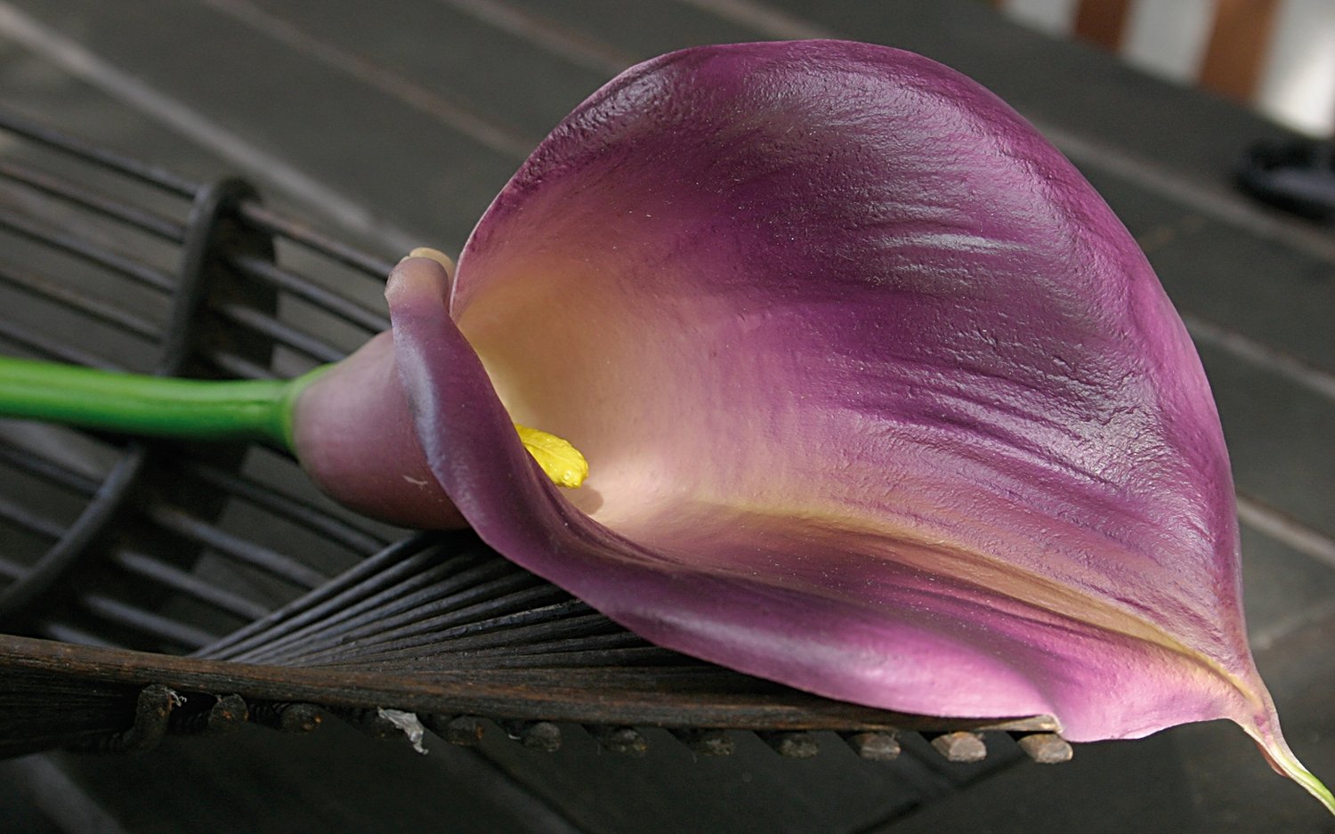 Calla artificiale, 71 cm, Real Touch Soft, viola