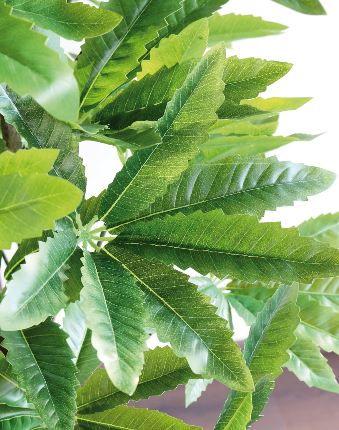 Faux schefflera, potted, 100 cm, green