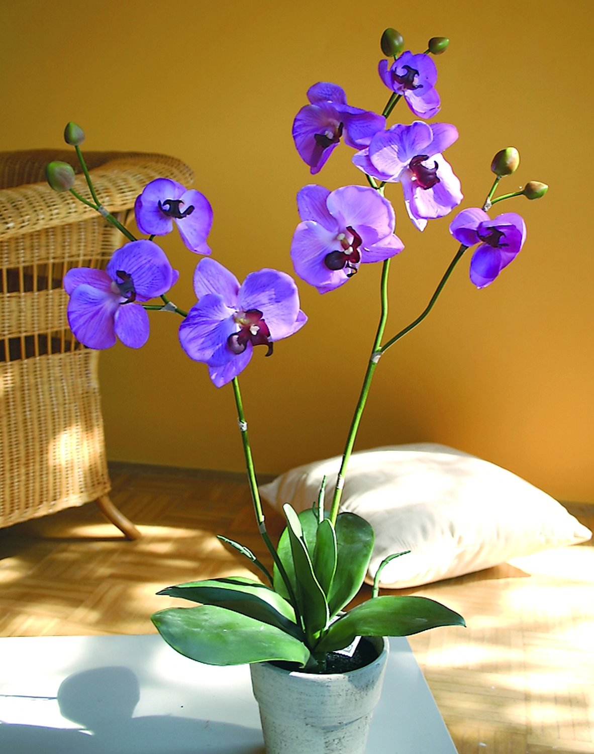 Künstliche Orchidee Phalaenopsis, 3-fach, getopft, 72 cm, Real Touch, hellviolett
