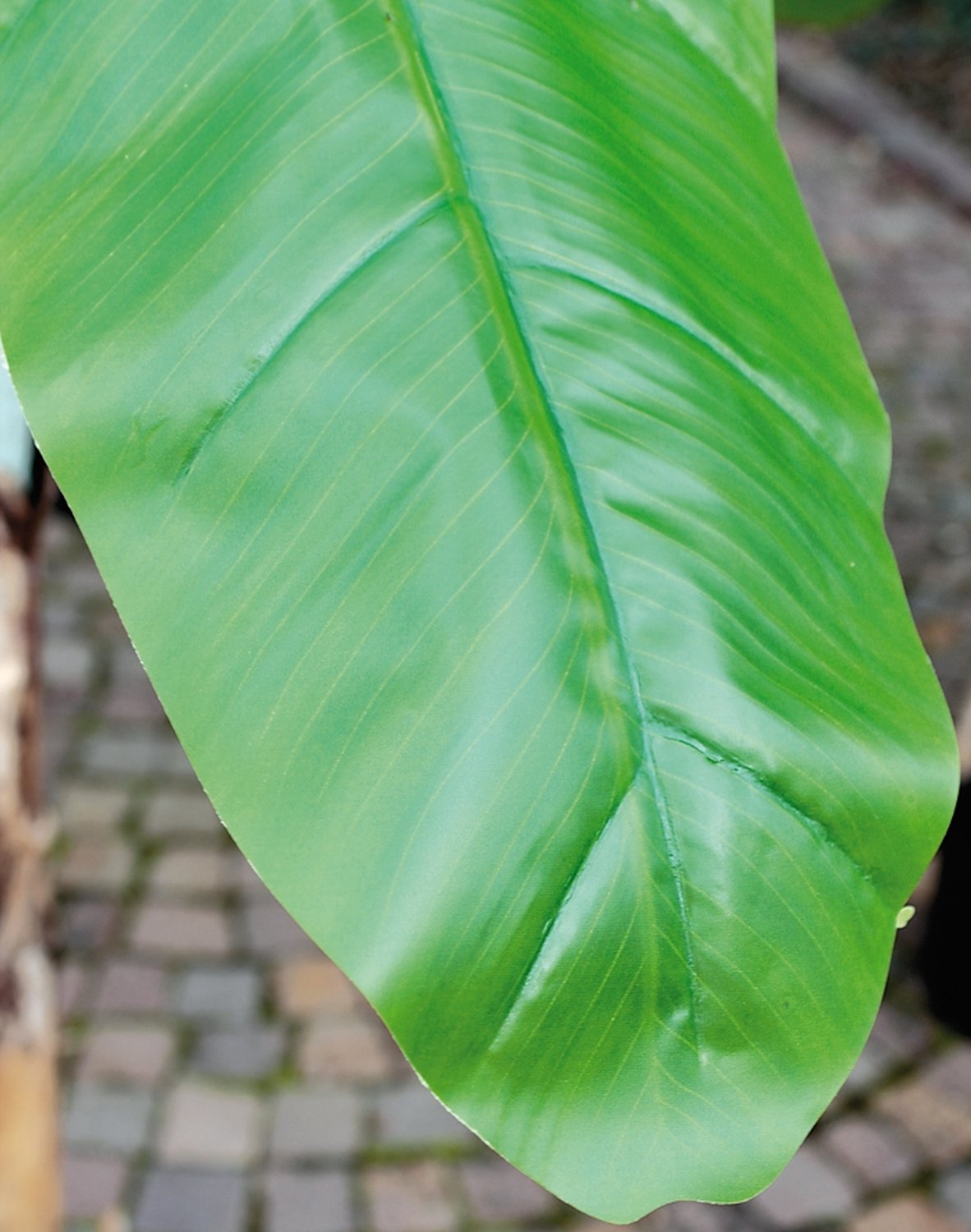 Künstlicher Bananenbaum, getopft, 300 cm, grün