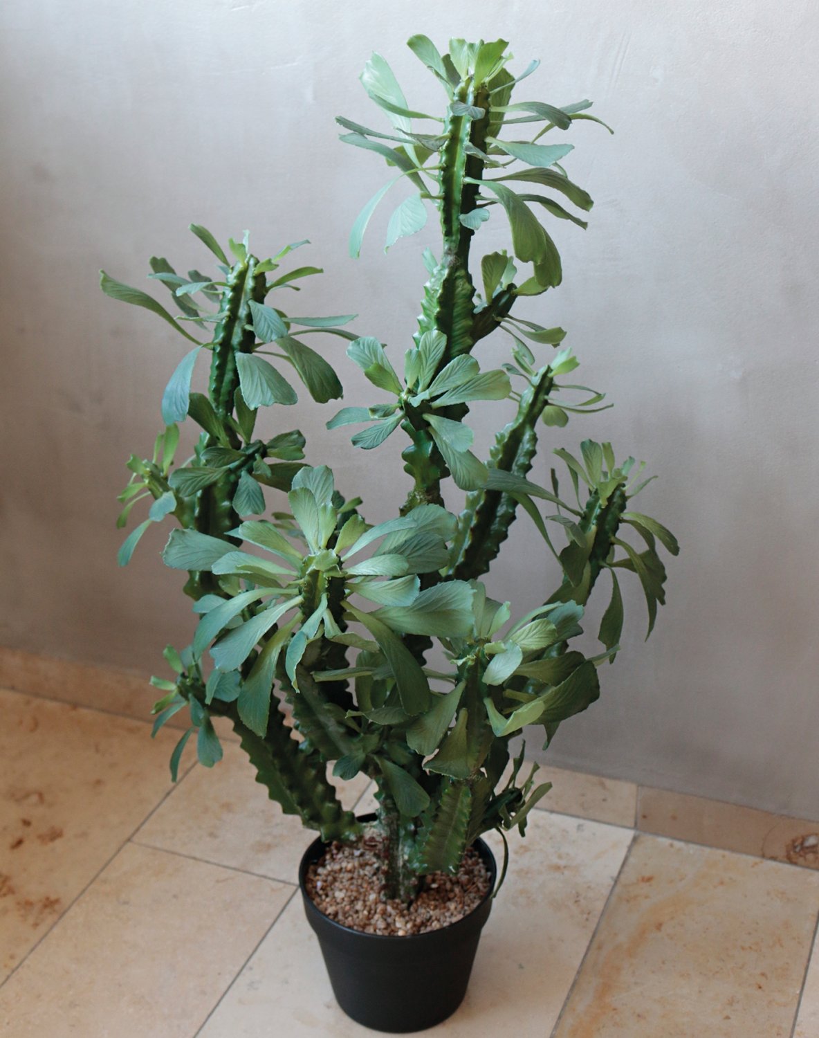 Artificial euphorbia trigona, potted, 88 cm, green