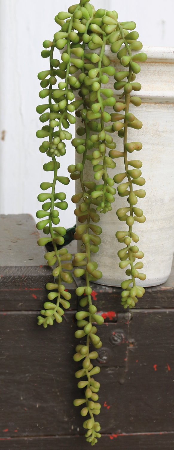 Künstliche Sukkulente, hängend, 52 cm, grün-burgunderrot