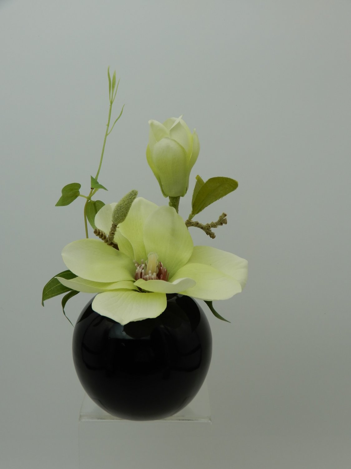 Magnolia artificial, en maceta de cerámica negra, 15 cm, verde-crema