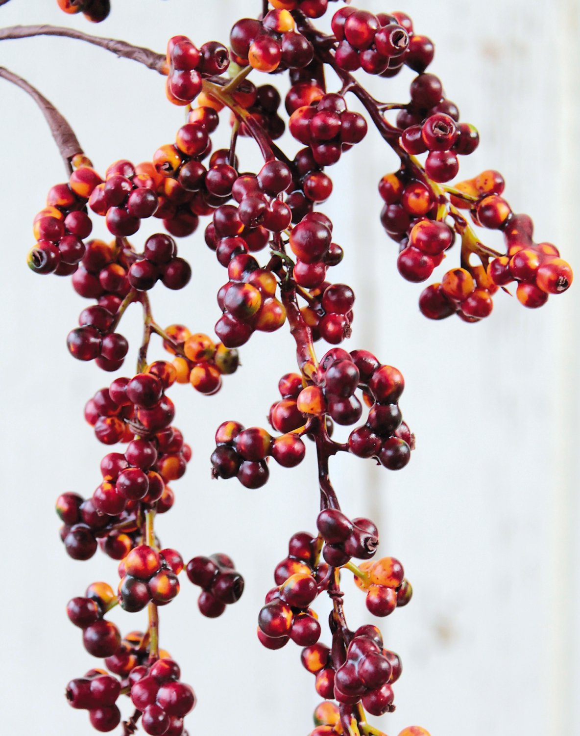 Appendino con ramo di bacche artificiali, 43 cm (totale 65 cm), rosso autunno