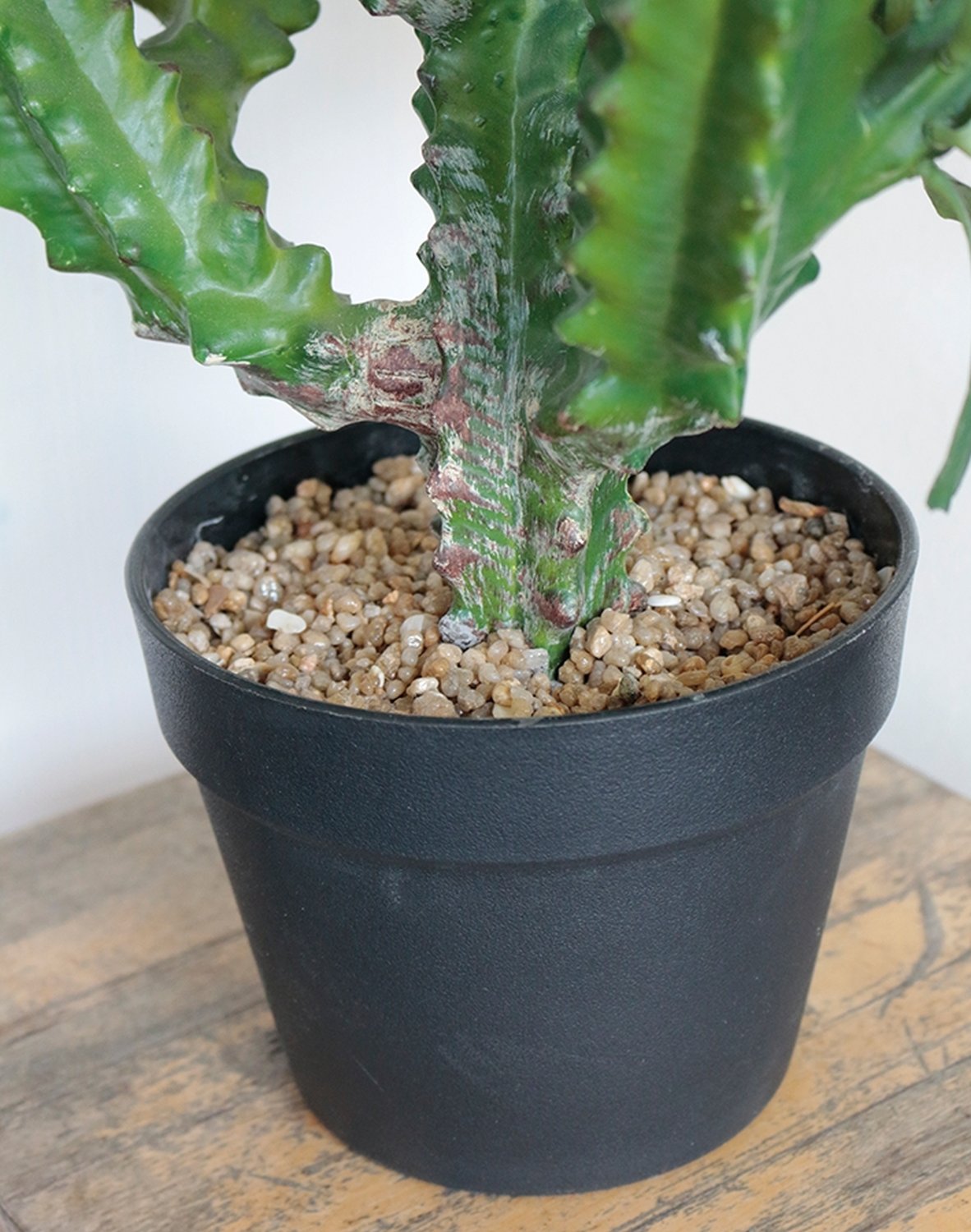 Künstliche Euphorbia trigona, getopft, 88 cm, grün