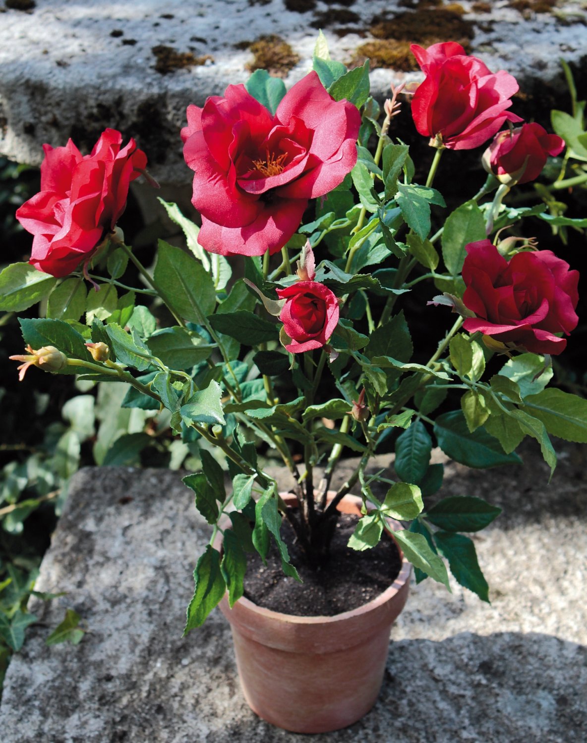 Künstliche Rose, getopft, 46 cm, rot