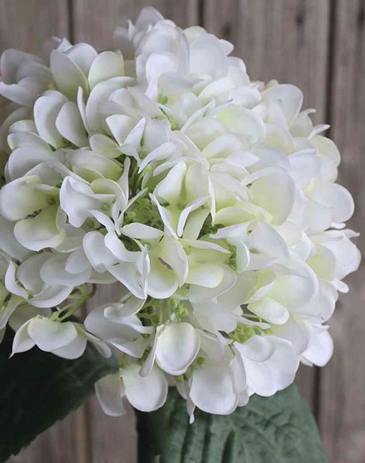 Künstliche Hortensie, 65 cm, creme-weiß