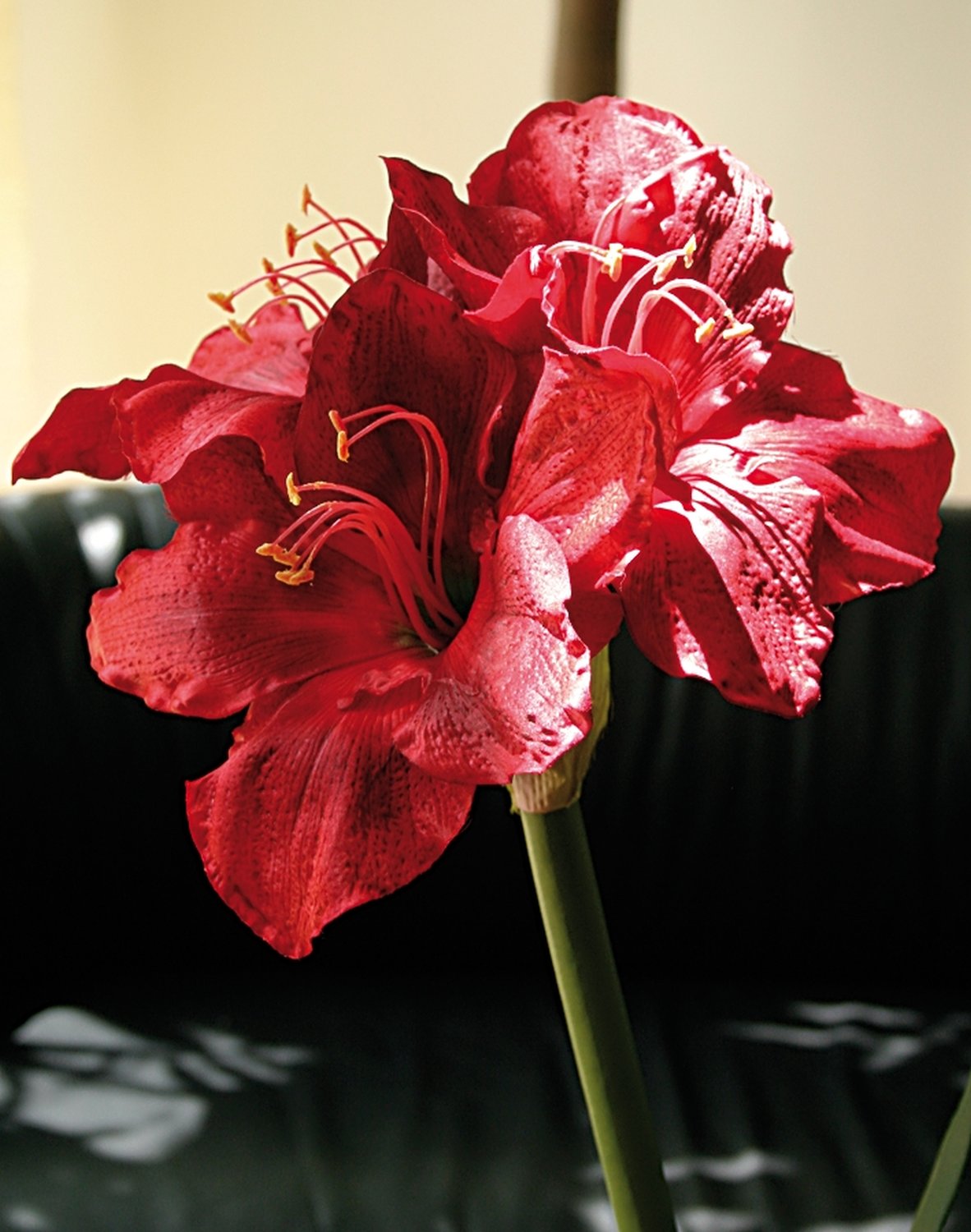 Künstliche Amaryllis mit Zwiebel, 80 cm, rot