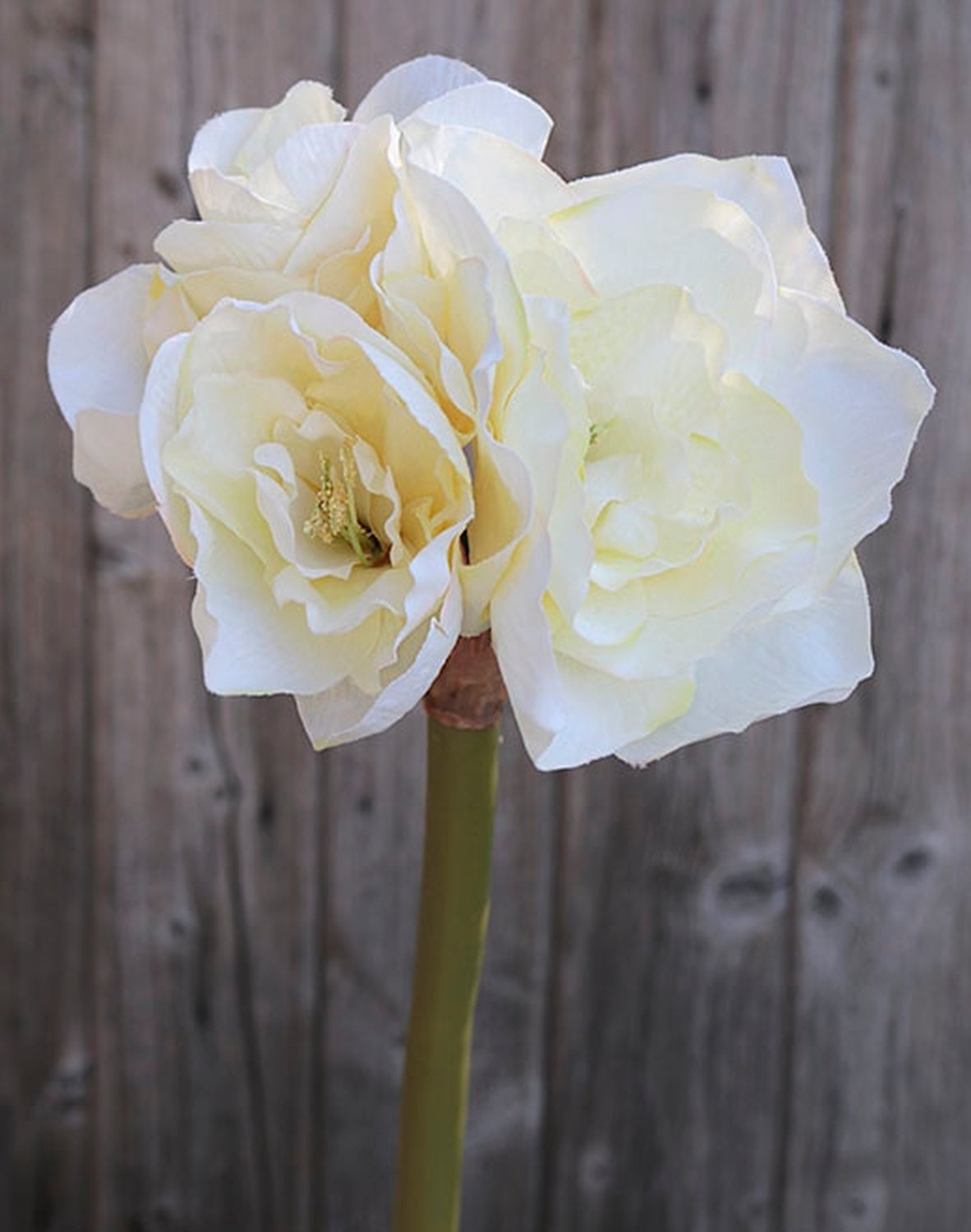 Künstliche Amaryllis, 4-fach, 80 cm, creme-weiß