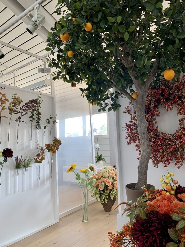 Herbst Blumen und Baeume im Showroom von H.Andreas Herbstliche Pflanzen im H.Andreas Showroom entdecken