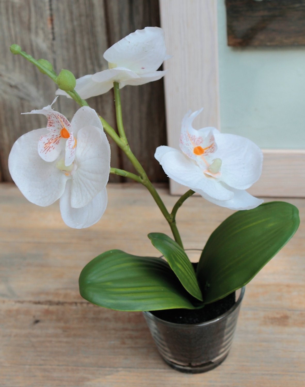 Künstliche Orchidee Phalaenopsis in Glasgefäß, 24 cm, creme-weiß