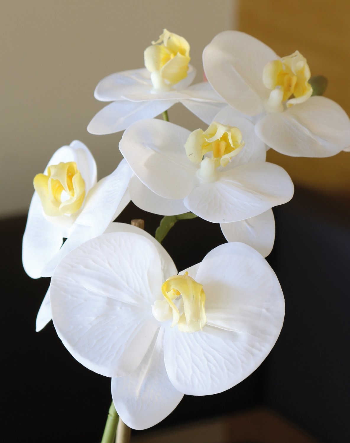 Plastic orchid Phalaenopsis, potted, 43 cm, real touch soft, beige-white