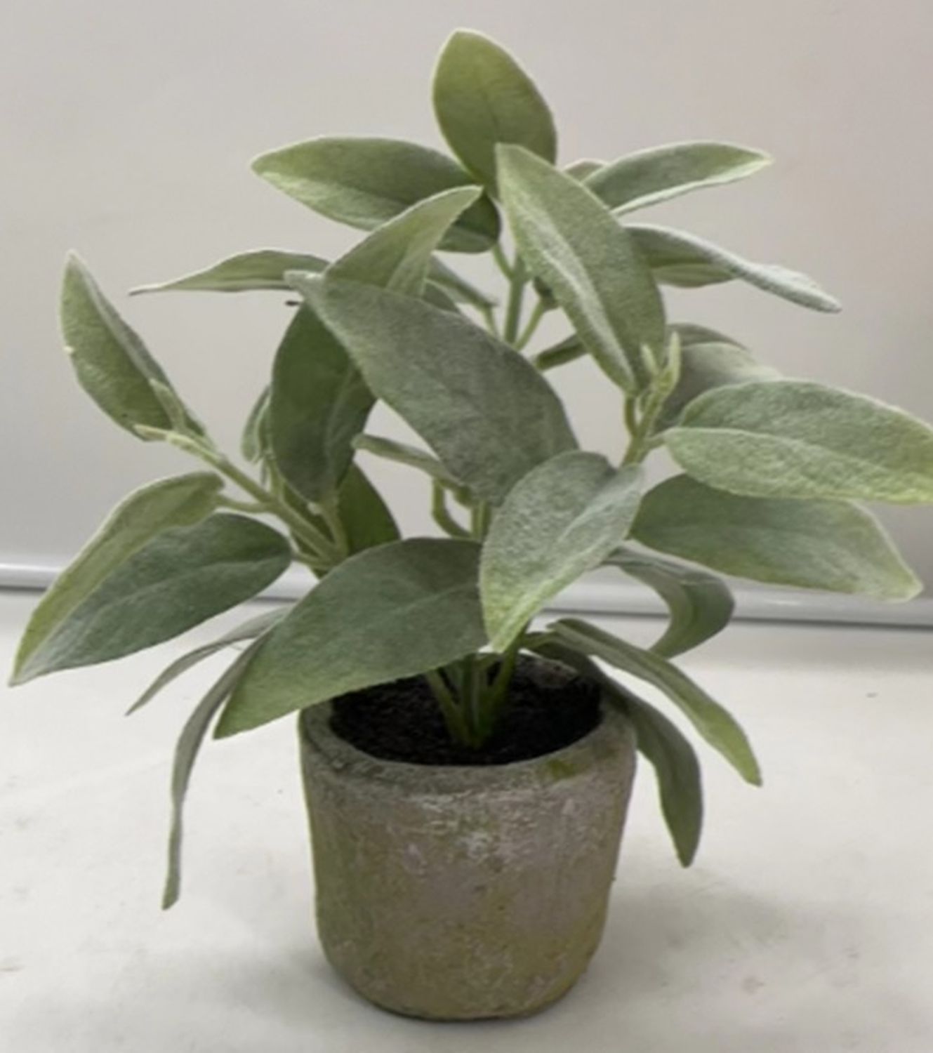 Kunstkräuter Salbei, getopft, 26 cm, grün Kunstkräuter Salbei, getopft, 26 cm, grün