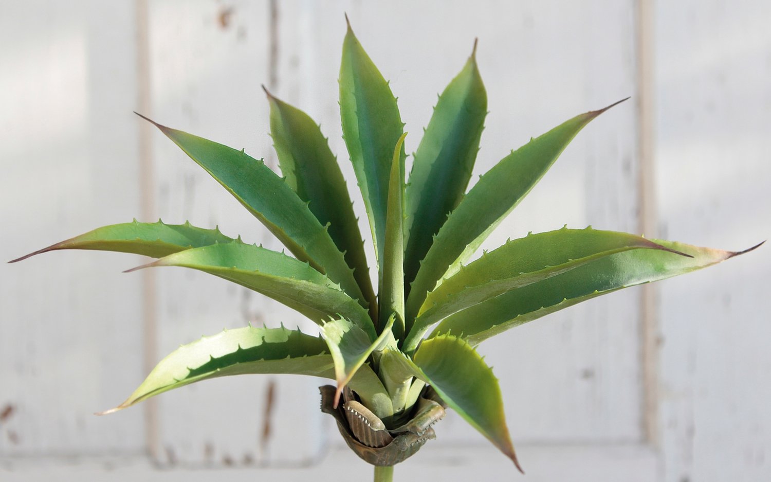 Künstliche Agave auf Steckstab, 24 cm, Ø 26 cm, grün