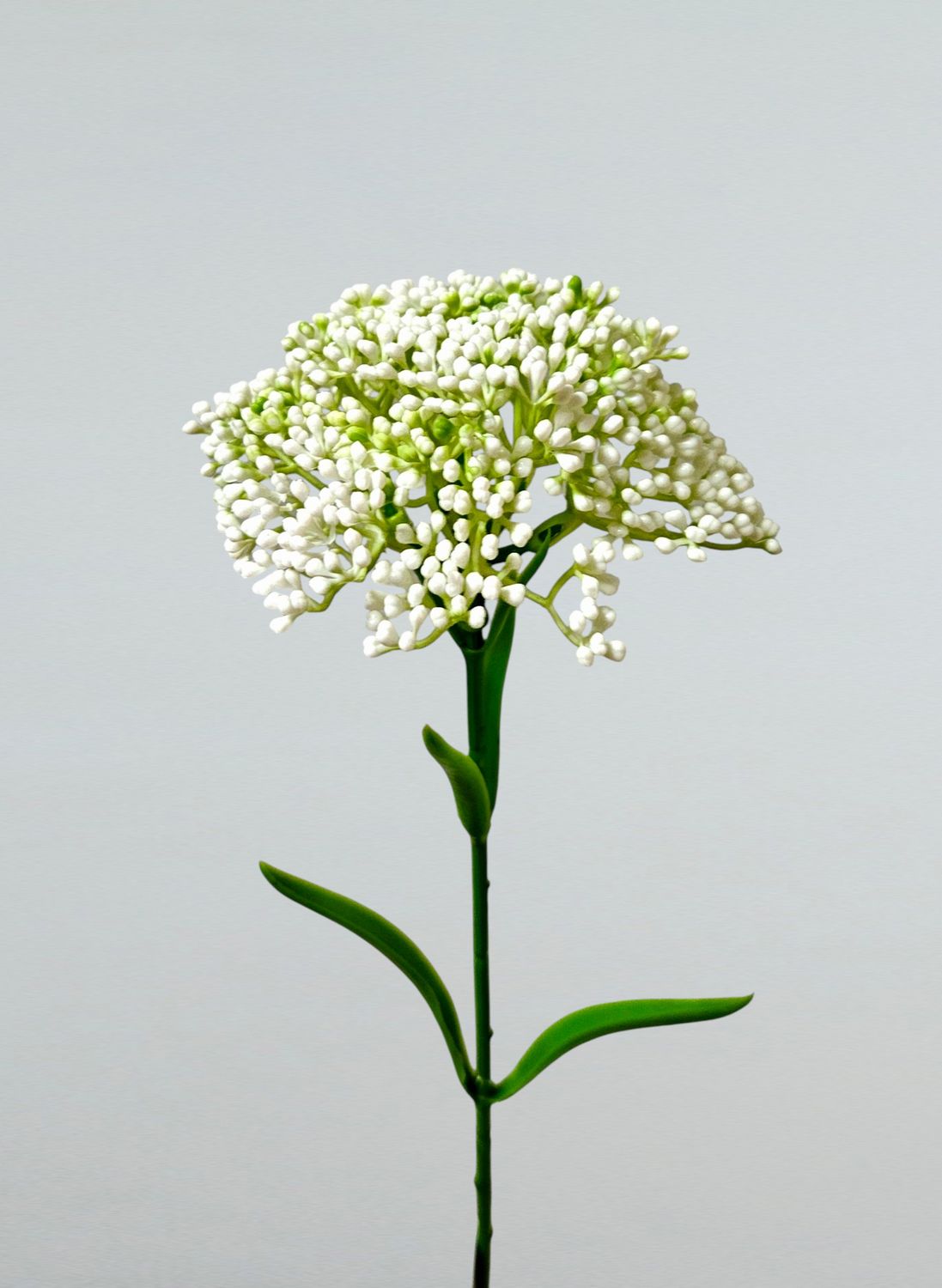 Künstliches Wiesenkraut Sedum, 40 cm, weiß