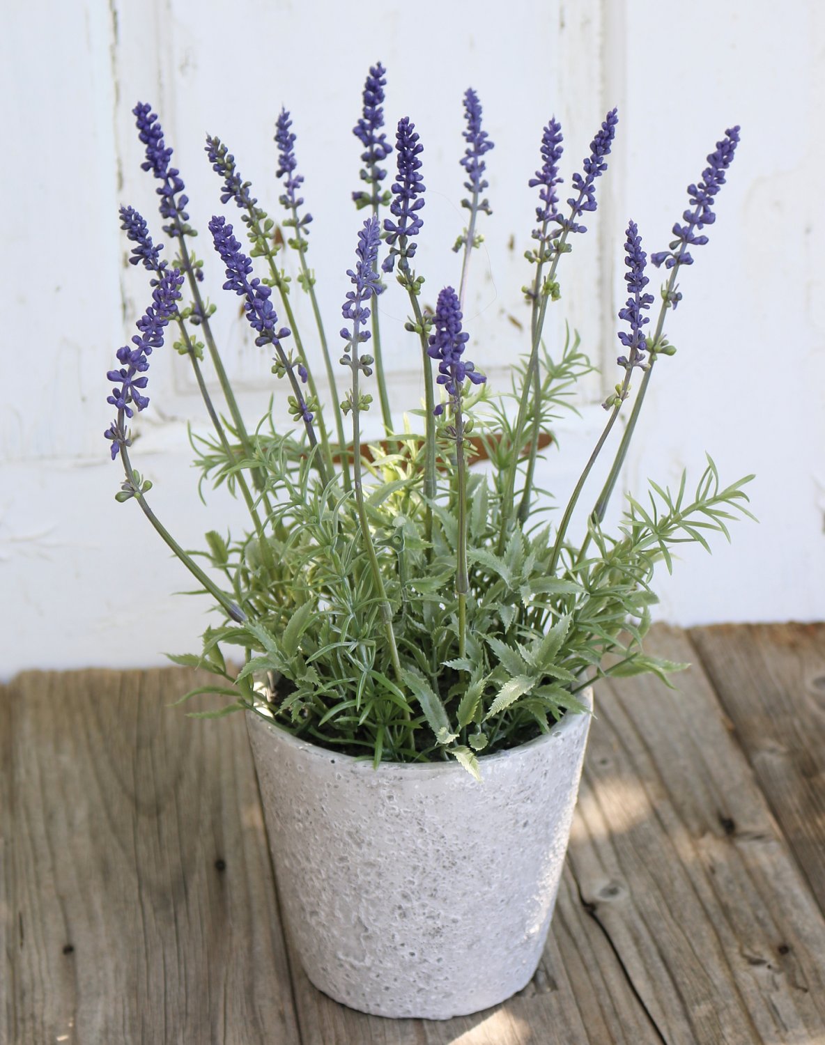 Lavanda artificiale, in vaso, 35 cm, viola scuro