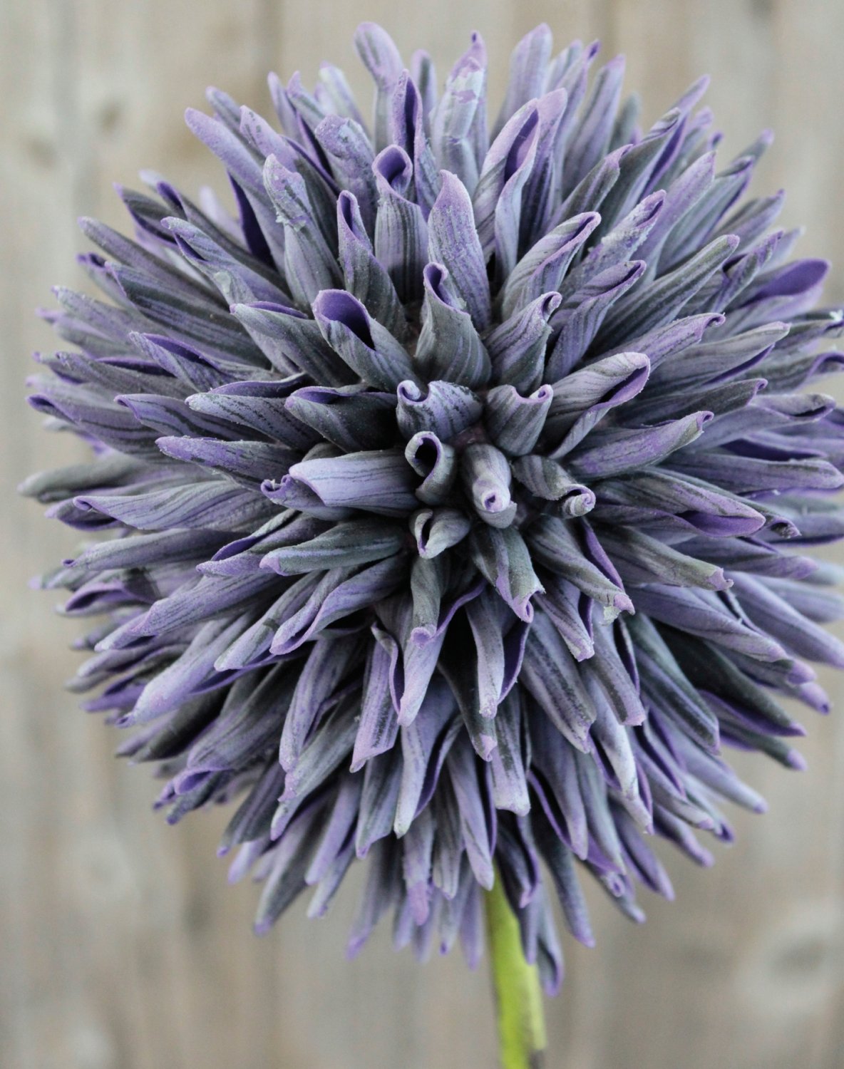 Künstlicher Soft flower 'Allium', 80 cm, dunkelviolett