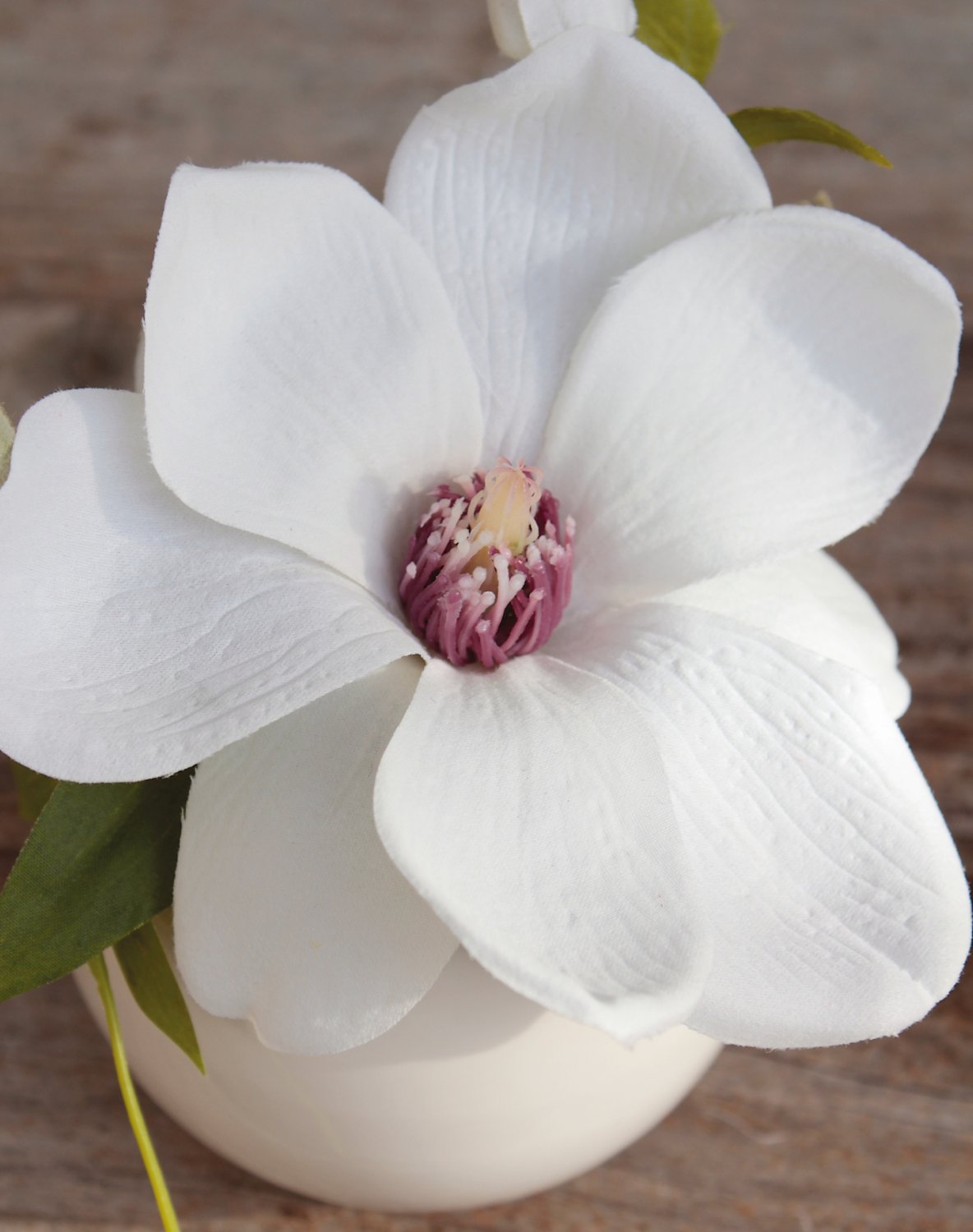 Künstliche Magnolie in Keramiktopf, 15 cm, creme-weiß