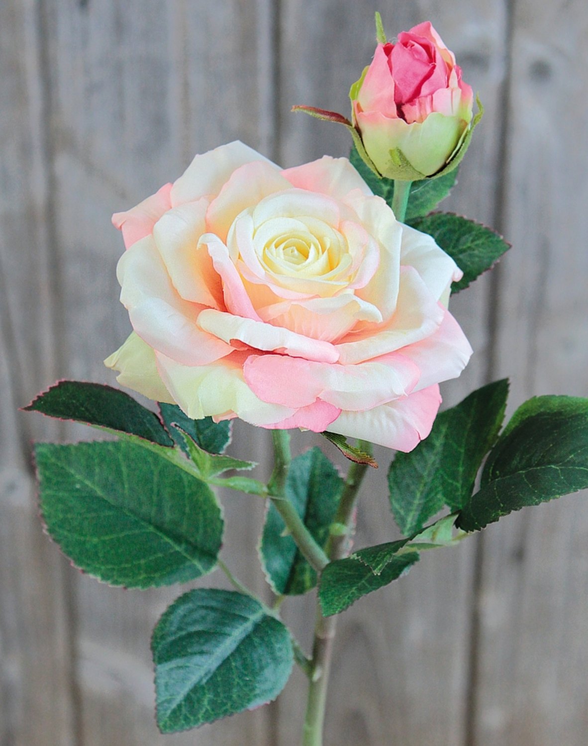 Rosa artificiale, 1 fiore, 1 bocciolo, 37 cm, Real Touch Soft, crema-albicocca
