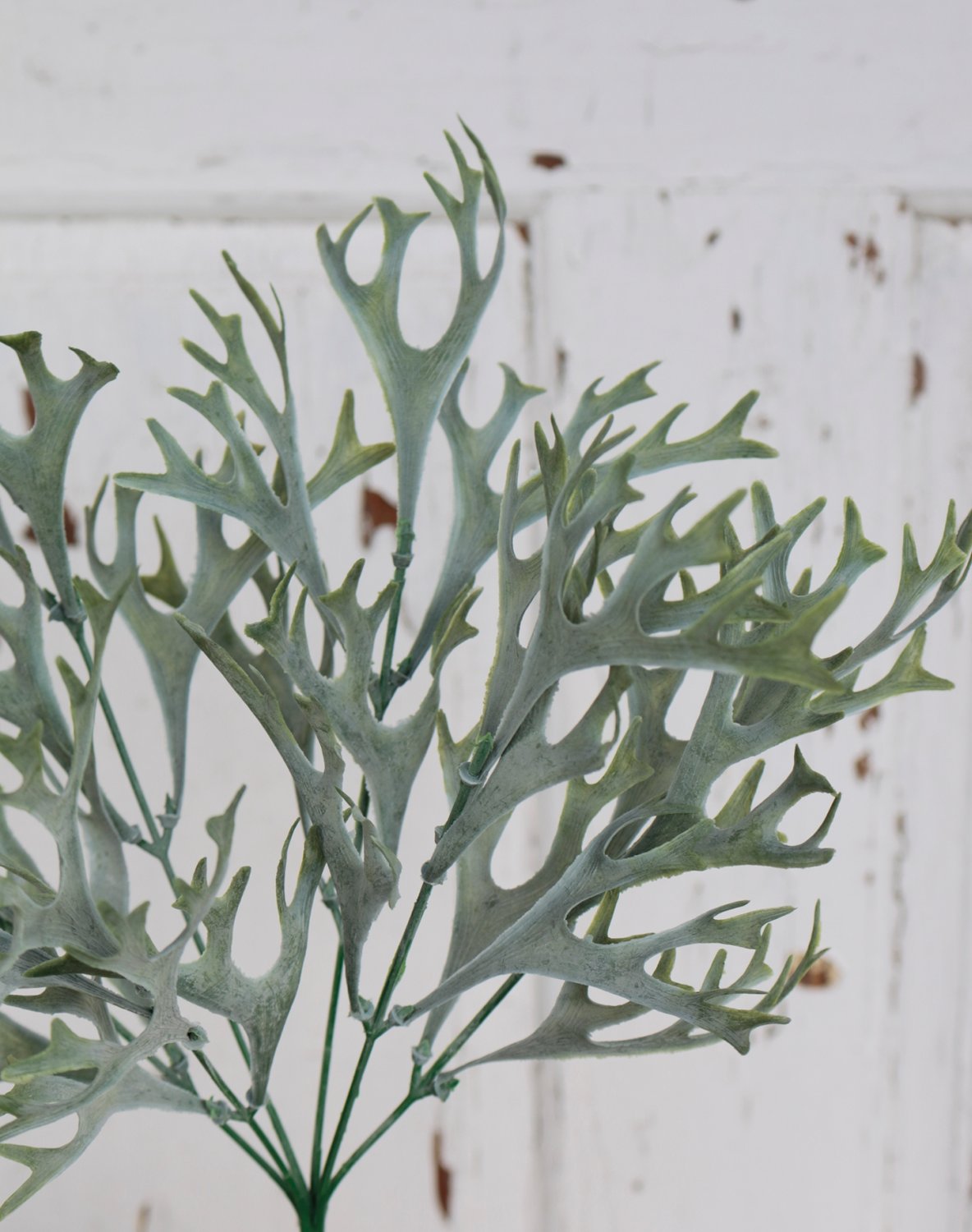 Artificial staghorn fern, 35 cm, green-grey