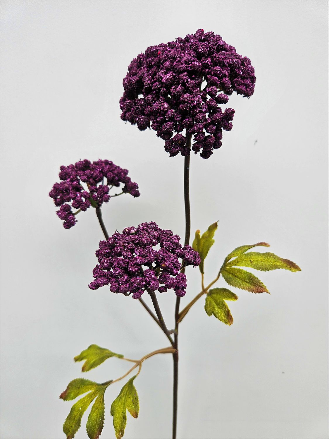 Achillea artificiale 'Autunno', 72 cm, naturale