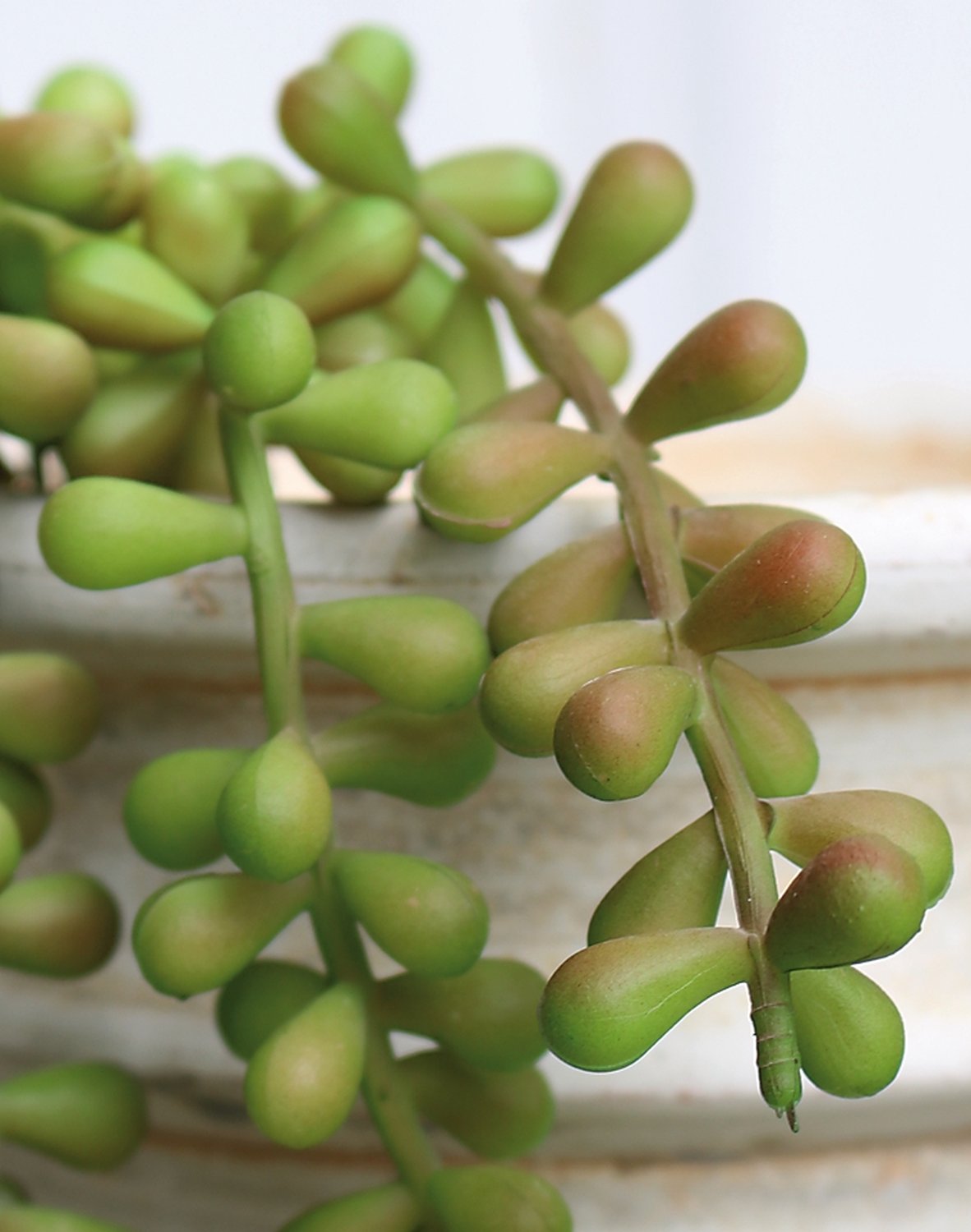 Artificial succulent, hanging, 40 cm, green-burgundy