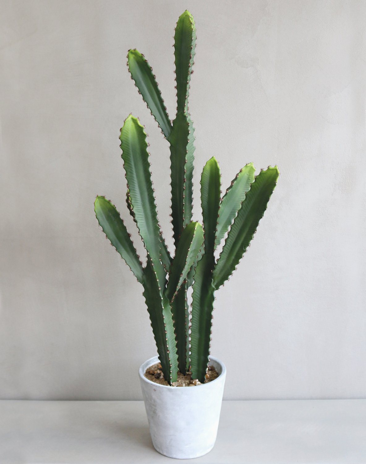Cactus cereus artificiale, in vaso, 64 cm, verde