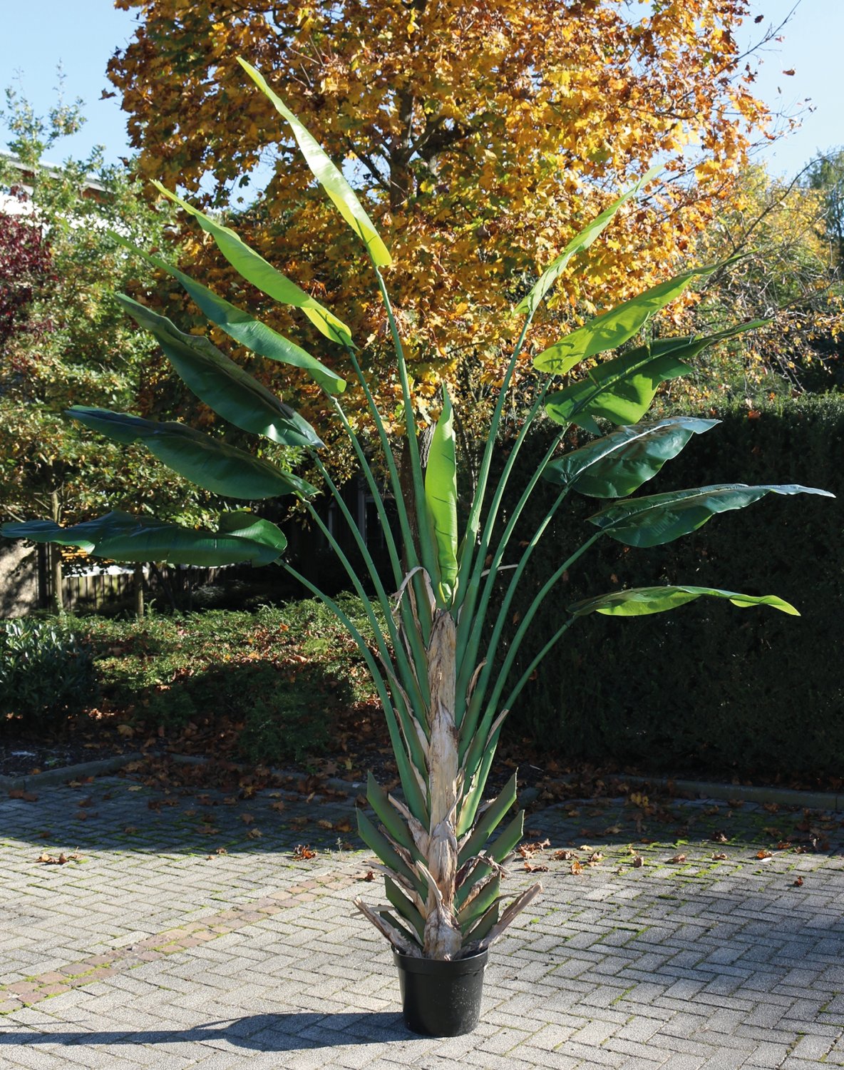 Faux heliconia, potted, 300 cm, green