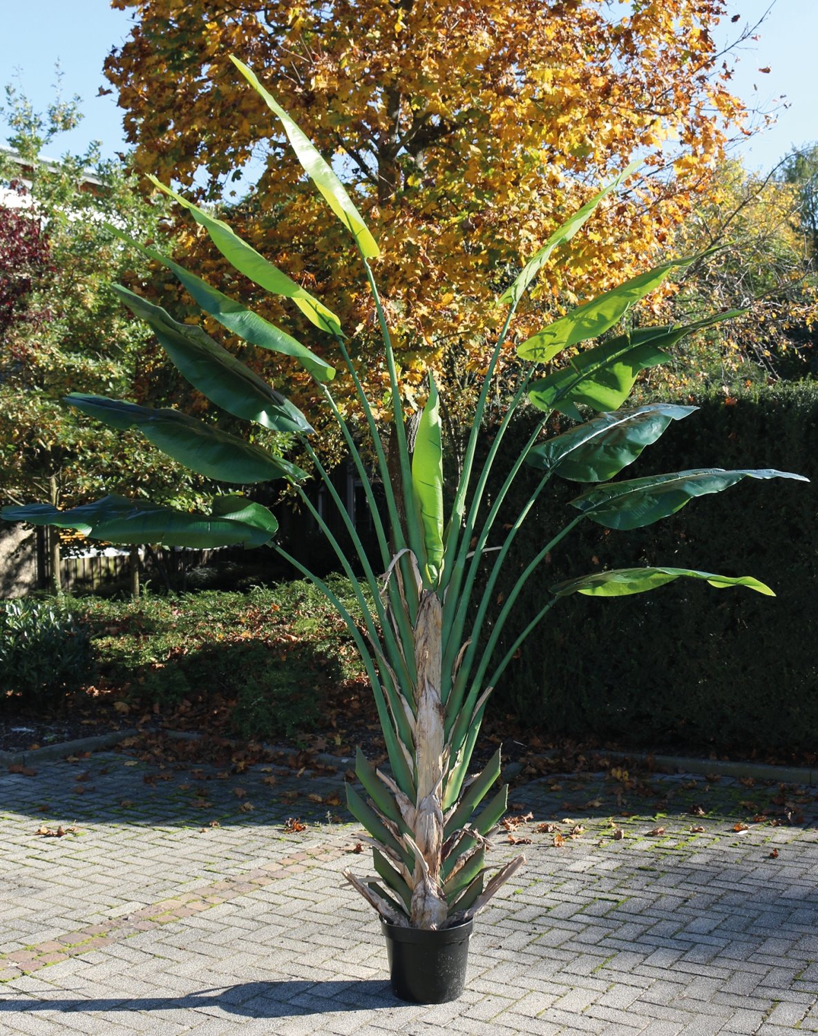 Heliconia artificiale, in vaso, 300 cm, verde