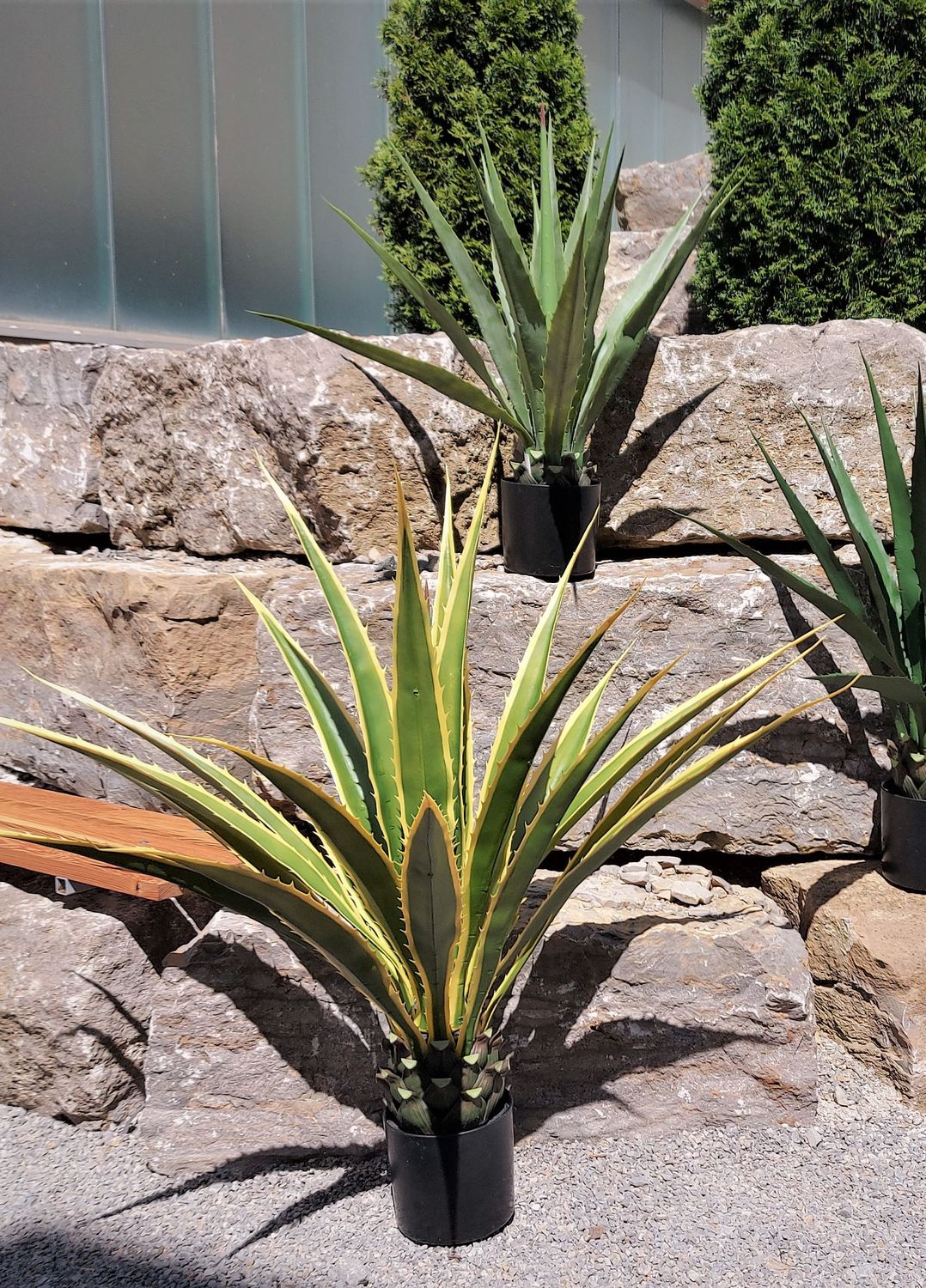 Agave artificiale, in vaso, 11 foglie, 80 cm, verde-giallo