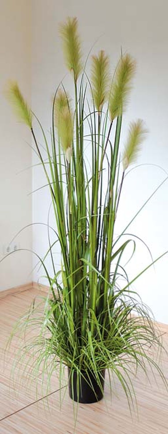 Artificial pampas grass, potted, 180 cm, green Artificial pampas grass, potted, 180 cm, green