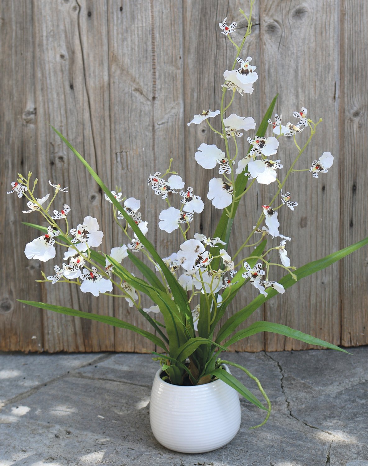 Synthetic orchid oncidium, potted, 50 cm, beige-white