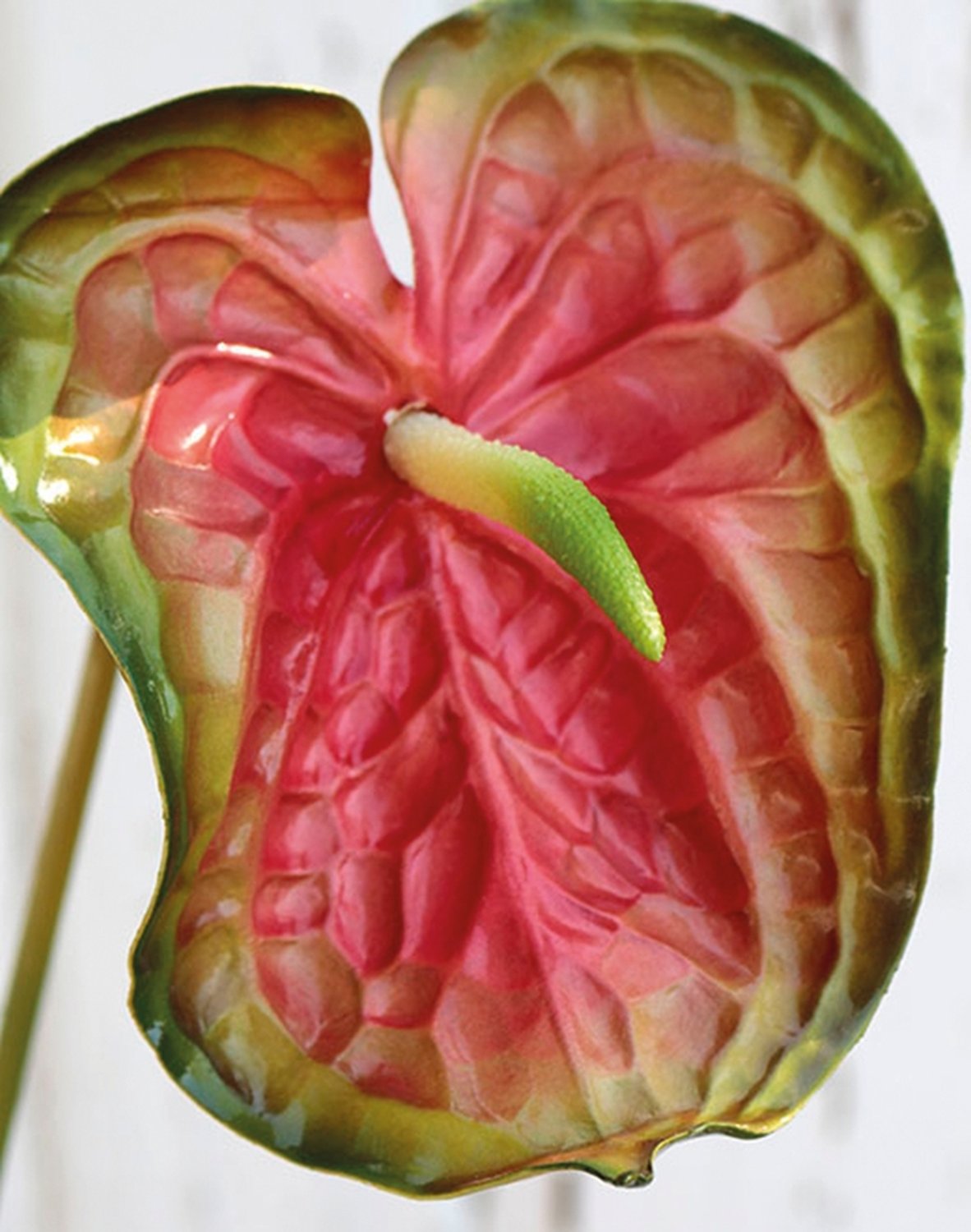 Künstliche Anthurium, 74 cm, rot-grün