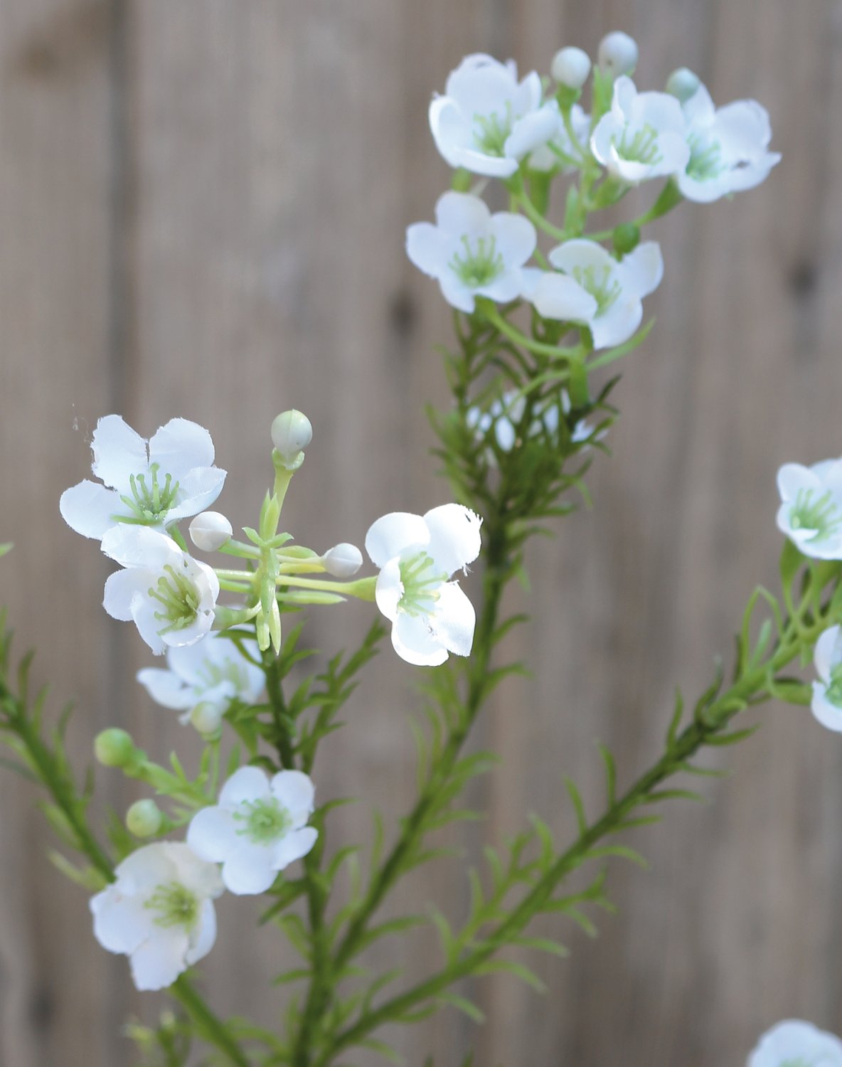 Fiore di cera artificiale, 65 cm, bianco-crema