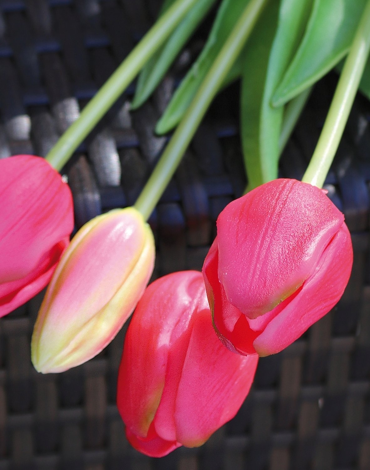 Künstlicher Tulpenbund, französisch, gemischt, 5-fach, 47 cm, Real Touch, pink