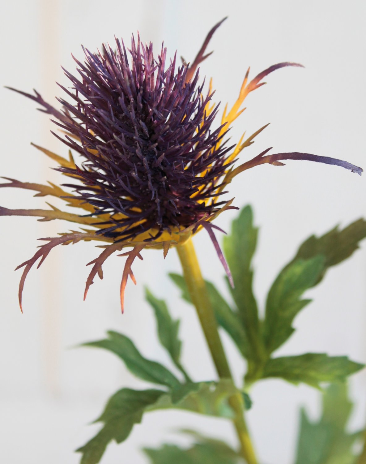 Faux thistle, 3 flowers 83 cm, light violet