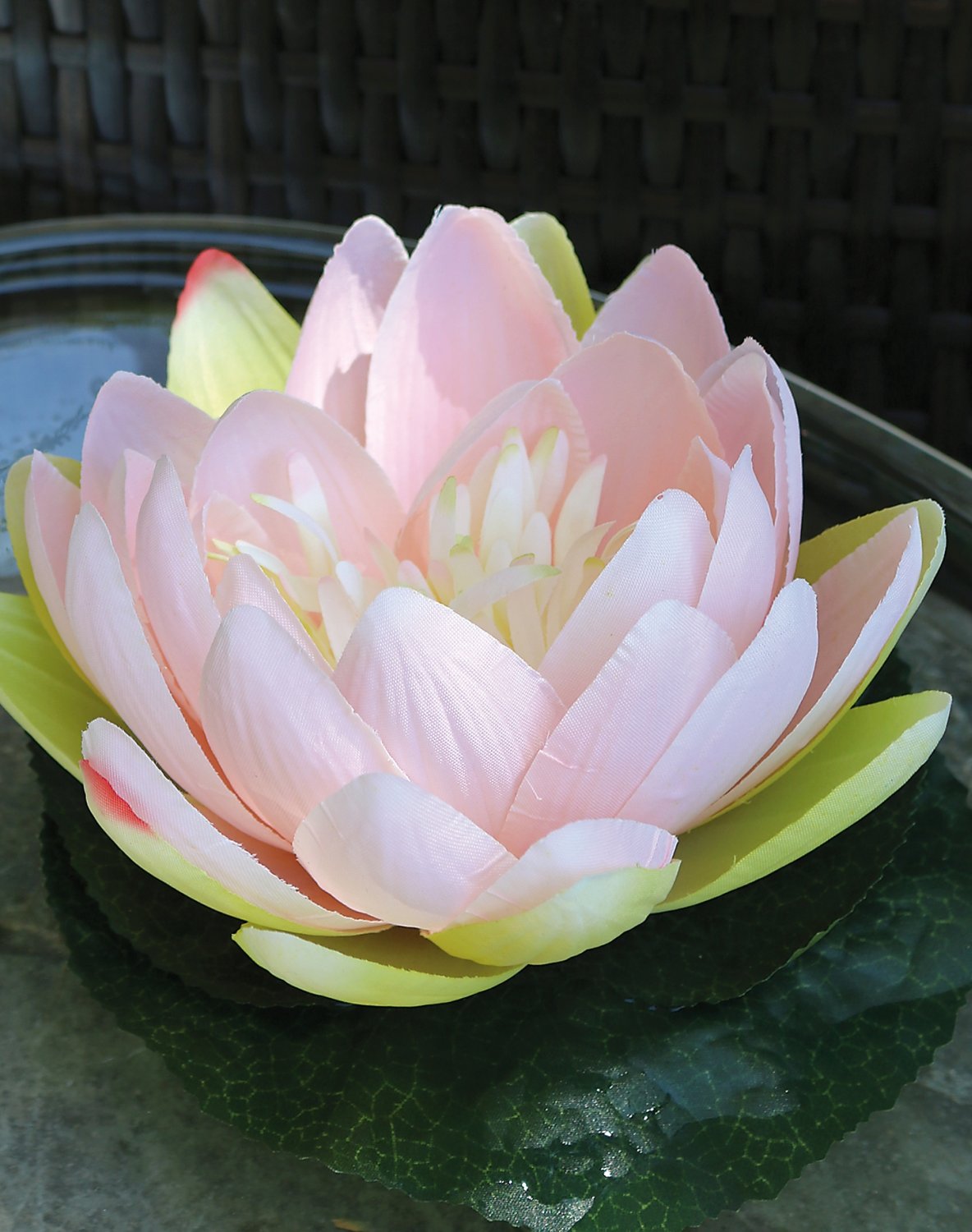 Silk water lily, floating, Ø 15 cm, light pink