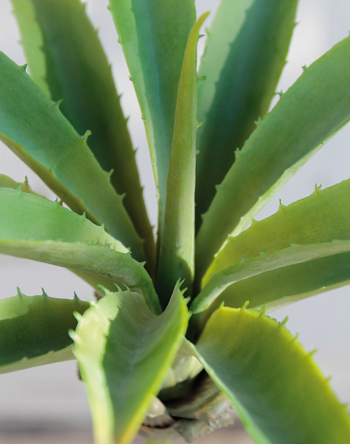 Agave artificiale su gambo, 24 cm, Ø 26 cm, verde