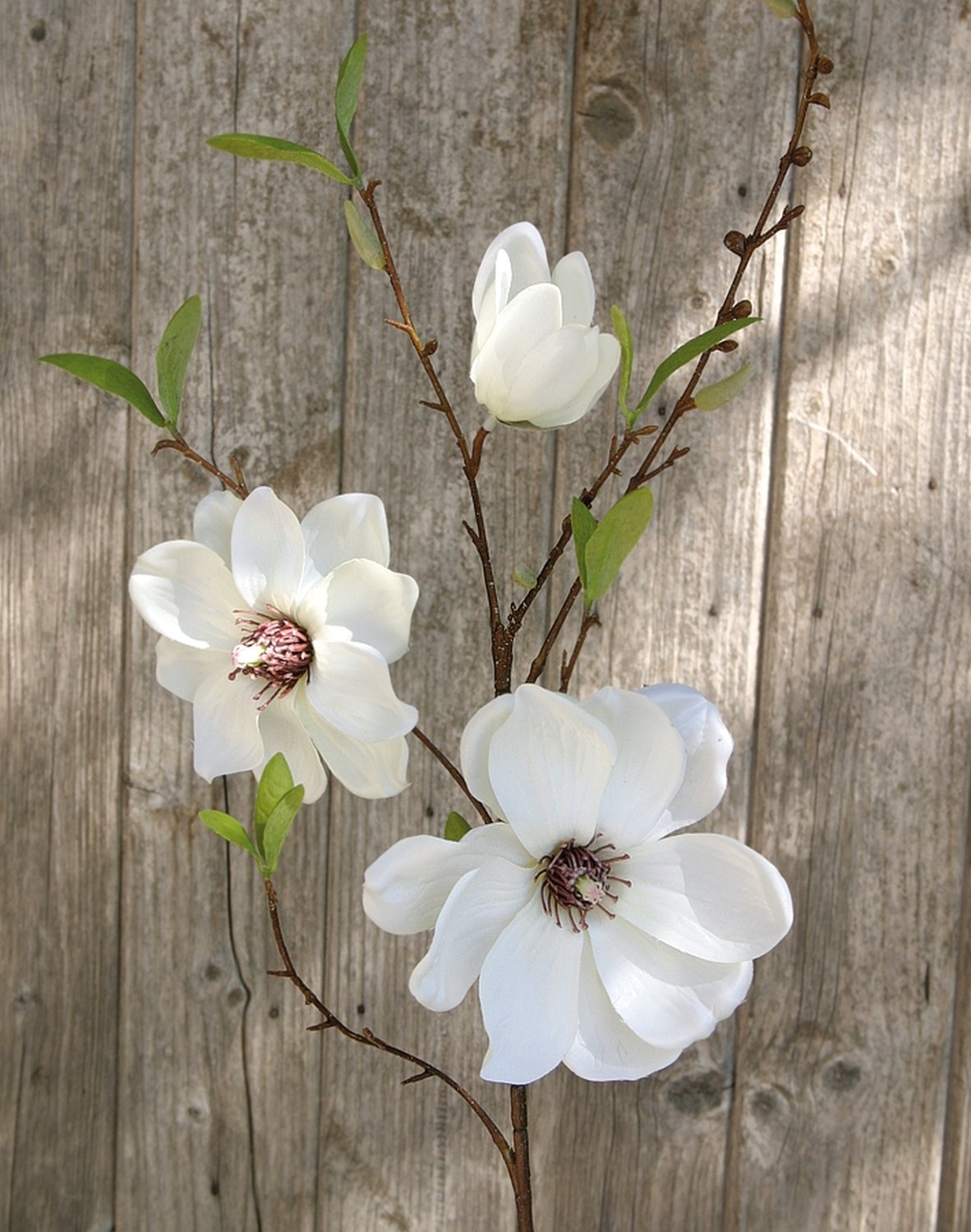 Magnolia faux flowers spray, 80 cm, beige-white