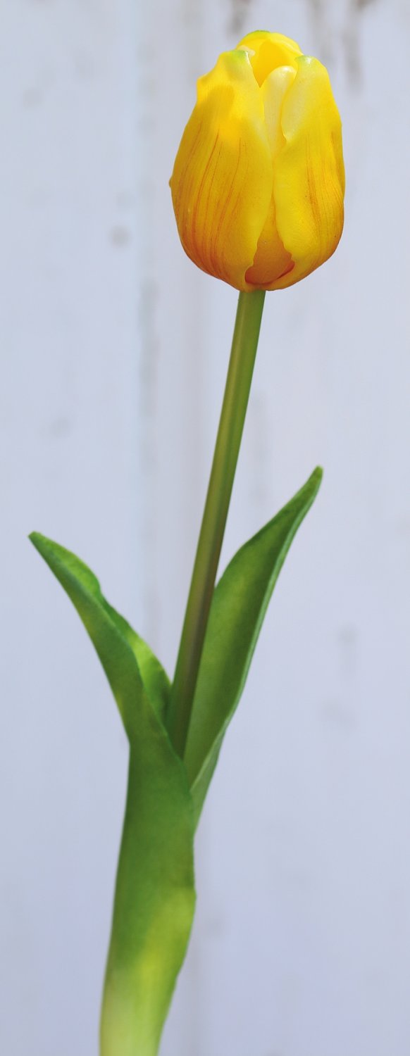 Künstliche Tulpe, französisch, 47 cm, Real Touch, gelb-orange