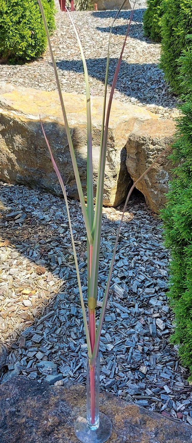 Artificial grass branch, 115 cm, green-pink Artificial grass branch, 115 cm, green-pink