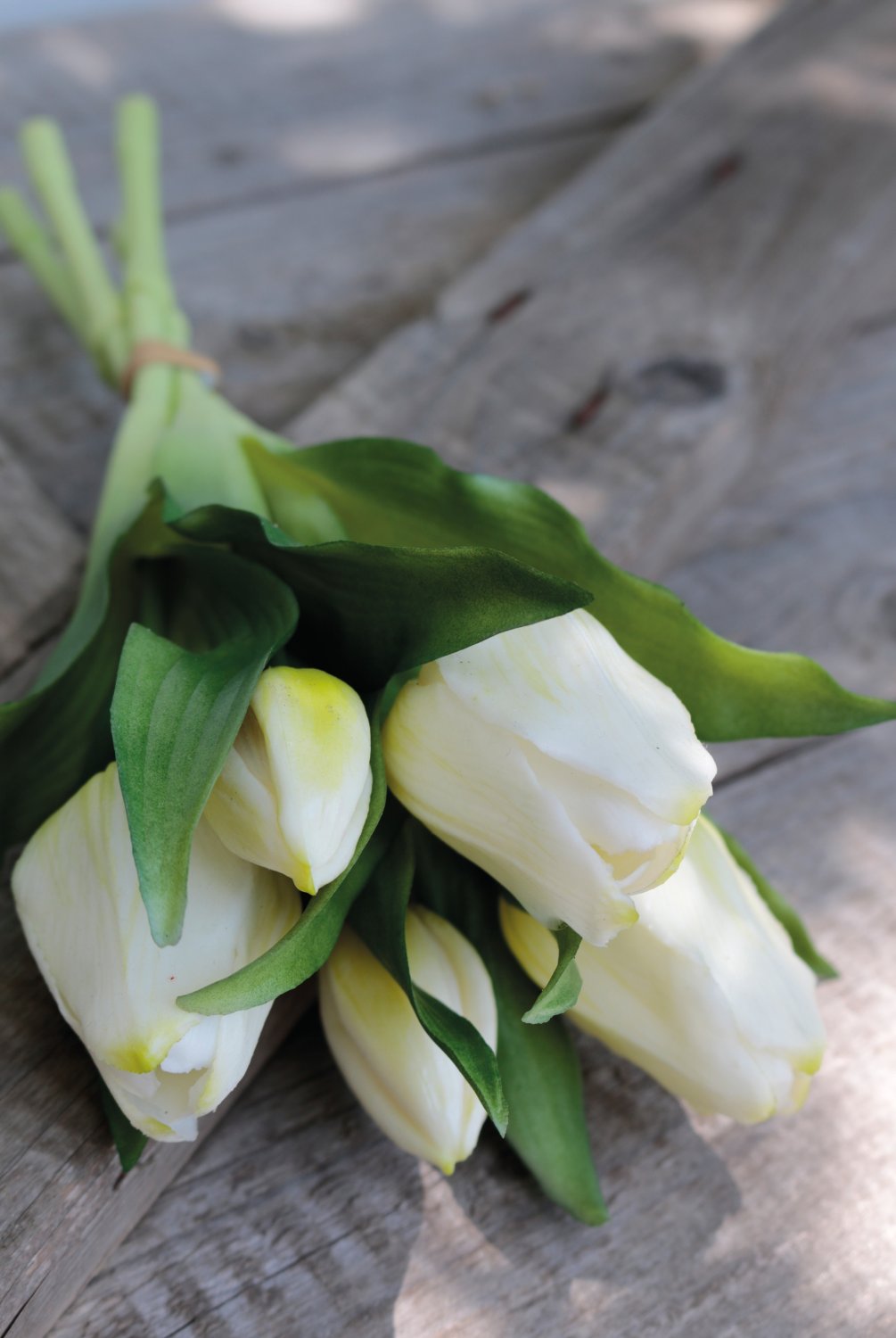Mazzo di tulipani artificiali, 5 fiori, 28 cm, bianco-verde