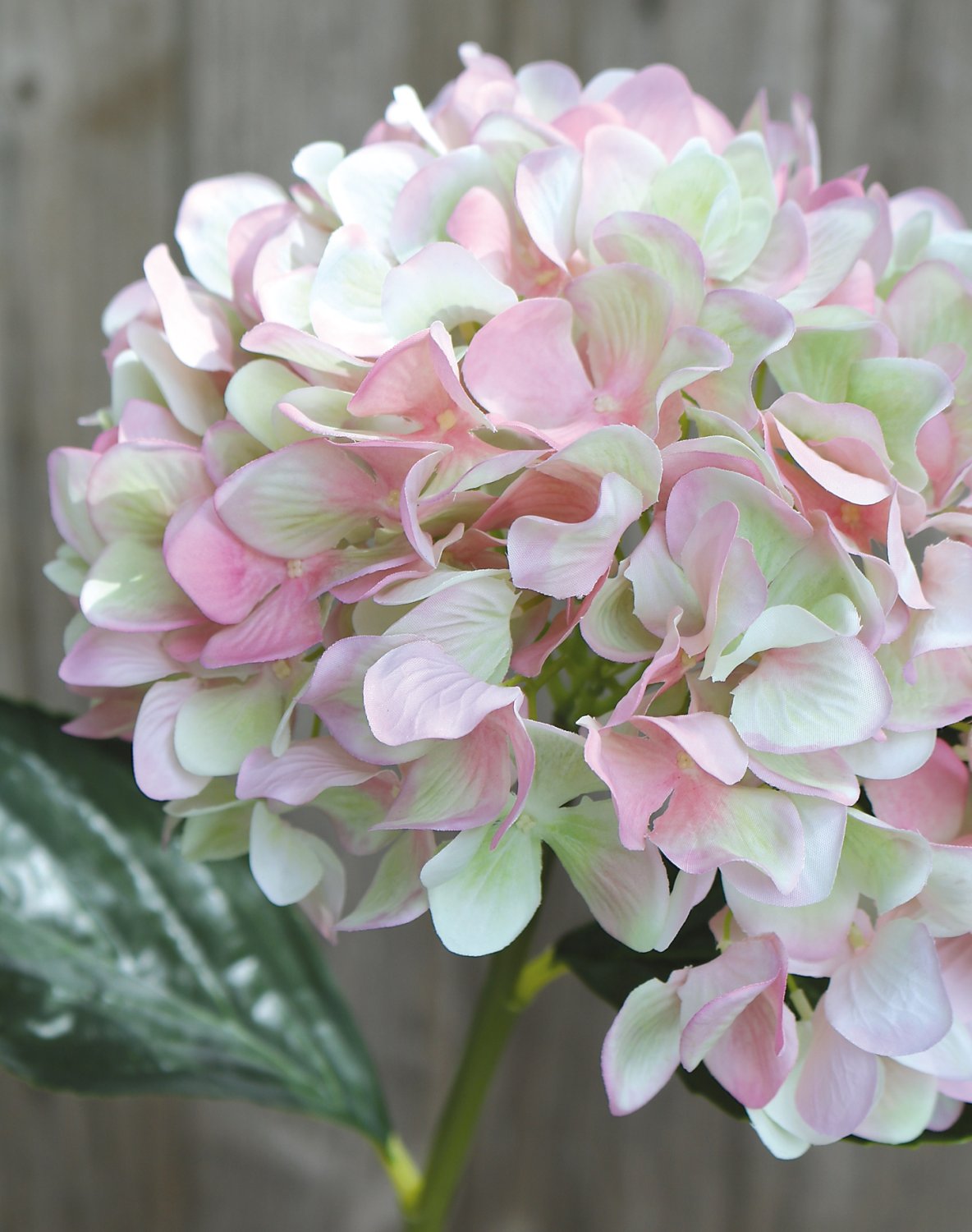 Faux hydrangea, 60 cm, pink-green