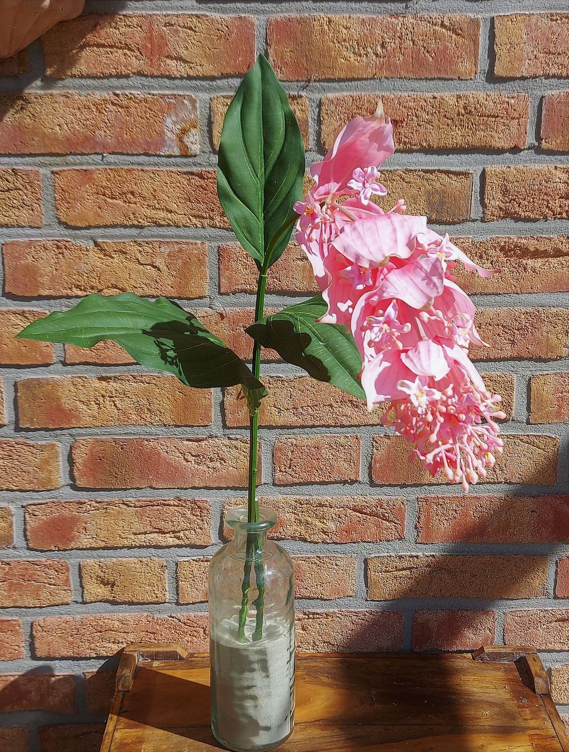 Künstlicher Medinillazweig, 112 cm, Real Touch, rosa Künstlicher Medinillazweig, 112 cm, Real Touch, rosa