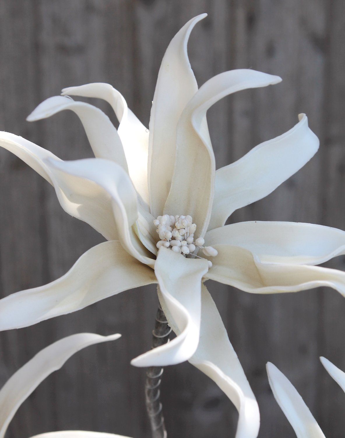 Künstliche Soft flower 'exotic', 5 Blüten, 115 cm, pur weiß