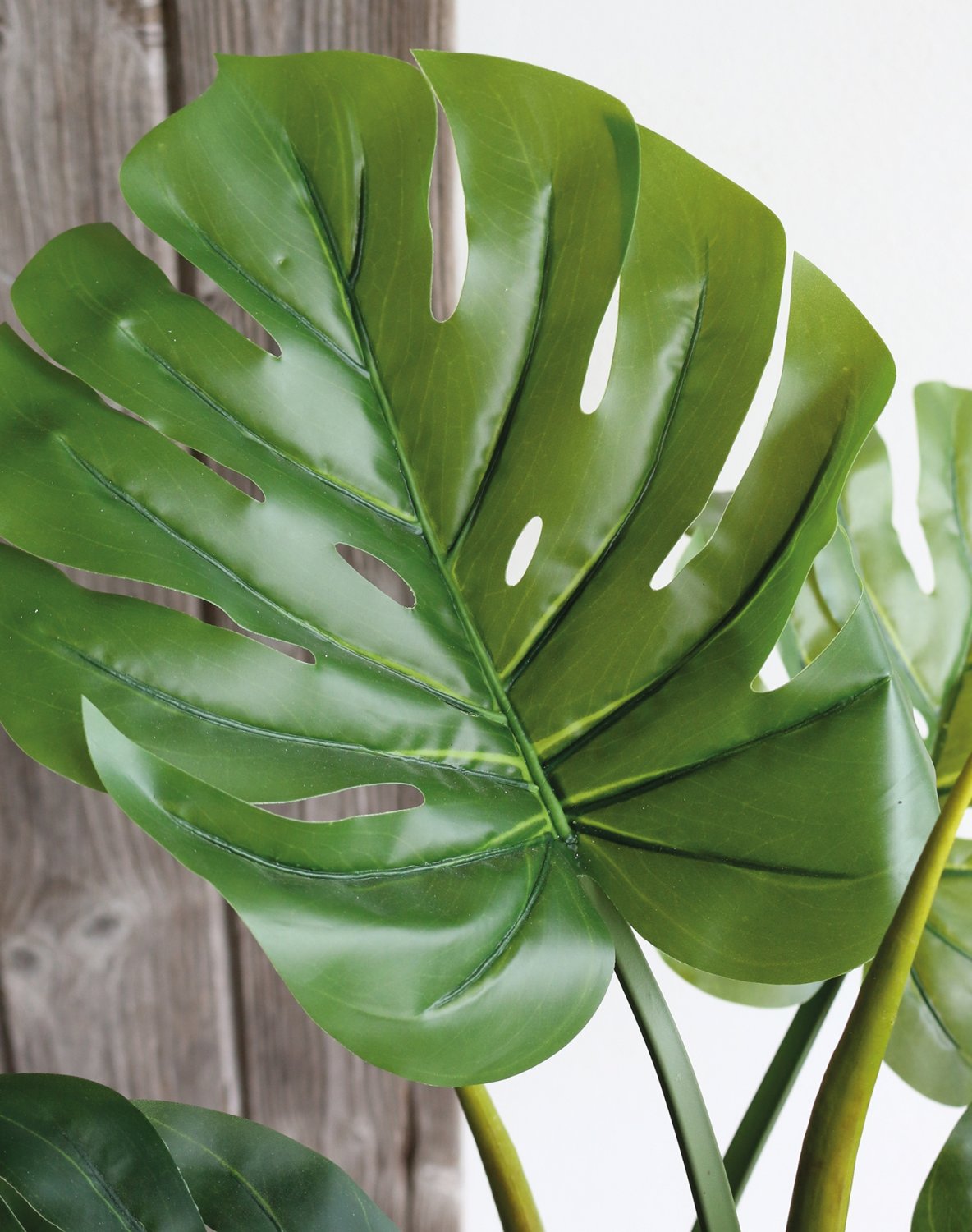 Künstliches Monstera (Fensterblatt), getopft, 120 cm, grün