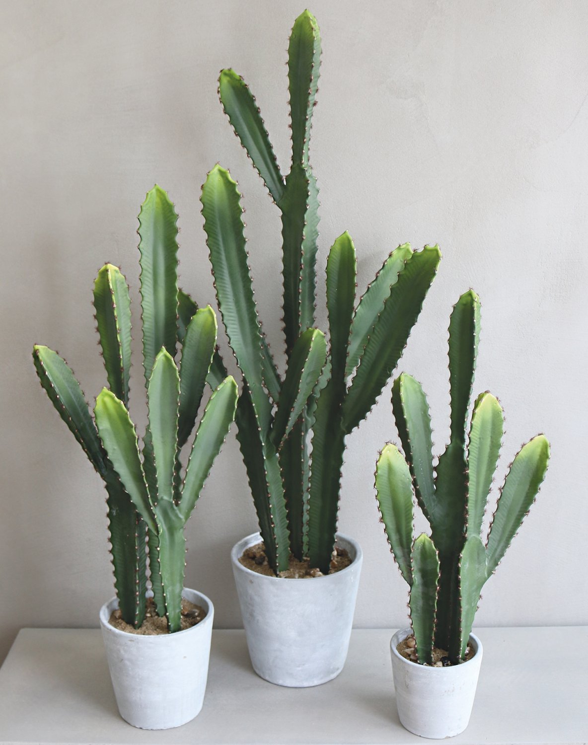 Cactus cereus artificiale, in vaso, 64 cm, verde