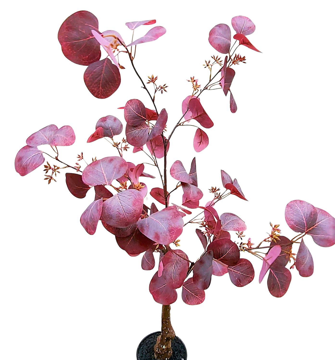 Kunstbusch Eukaylptus im Topf, 90 cm, antik-dunkelrosa