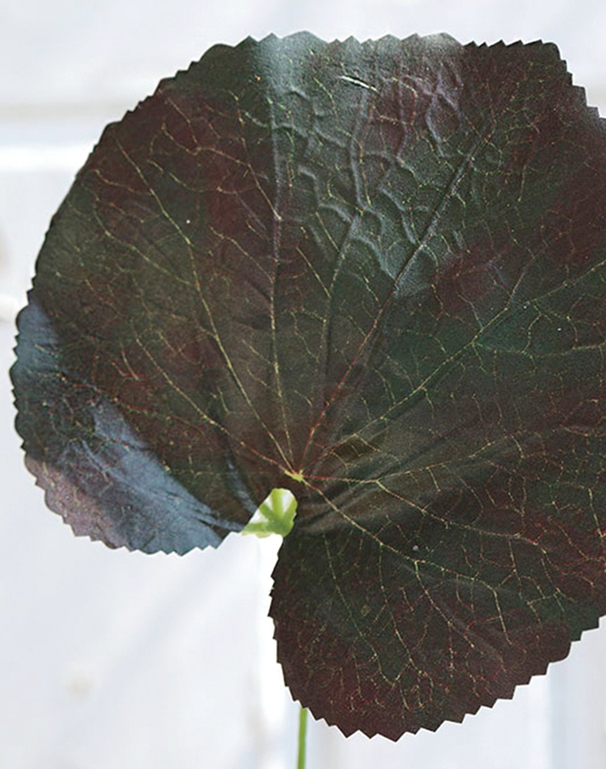 Foglia di geranio artificiale, 45 cm, verde-rosso